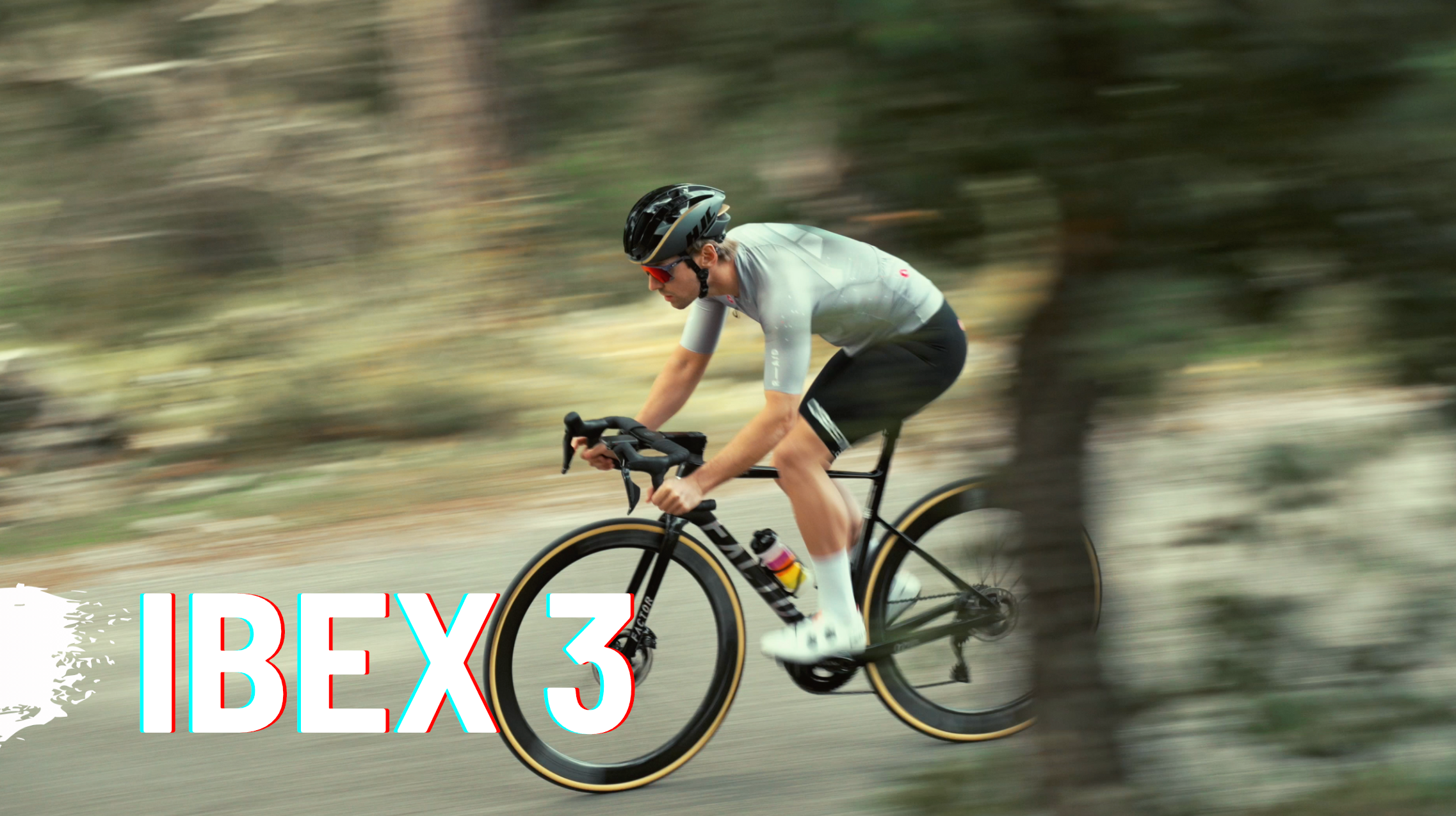 IBEX 3